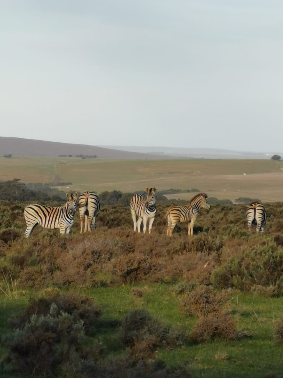 WhatsApp Image 2025-07-02 at 11.22.56_b7e2adad